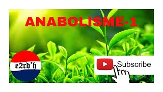 ANABOLISME