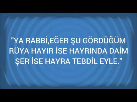 Rüyada Mimoza Görmek Ne Anlama Gelir, Ne Demektir?