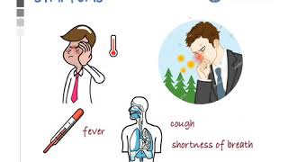 Corona Virus ( COVID-19) Safety Measures