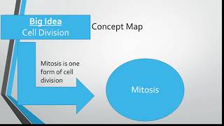 Mitosis Word Map
