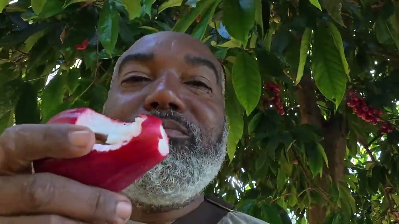 I bought line in Jamaica ￼How I Pump Water From a Stream (Off-Grid Building Update)