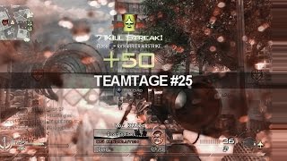 Evasion Teamtage #25