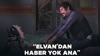 El Kapısı Türk Filmi Emrah, Elvandan Haber Alamıyor