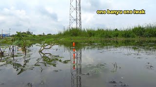 Download Lagu Misi Mencari Spot Mancing Liar yang masih perawan! Dengan Hasil Strike Yang sangat Brutal MP3