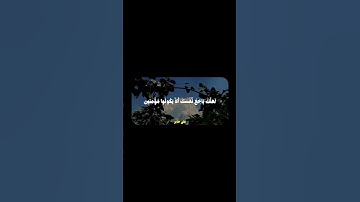 سورة الشعراء | #quran #قرآن #المصحف #علي_جابر