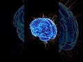 🧠 Brown Noise Brain Waves for ADHD Focus | Deep Focus Boost #shorts