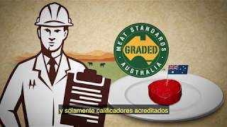 Understanding the MSA Program (Spanish VO and subtitles)