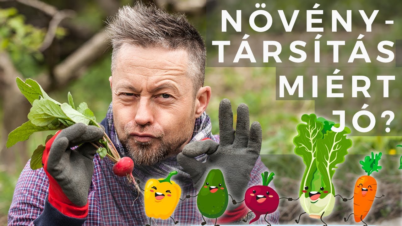 Mire jó a növénytársítás? /Konyha-Kertész Képző #4