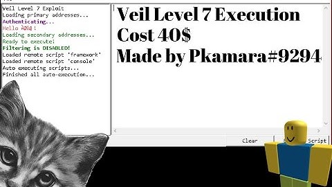 Roblox Exploiting Veil