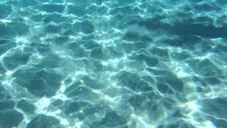 DSCF0529