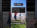 外国人によるハマグリの密猟が深刻‼️