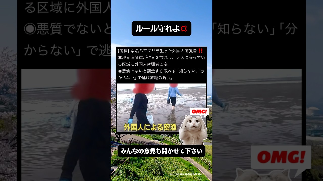 外国人によるハマグリの密猟が深刻‼️