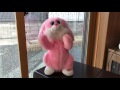 うさぎダンス