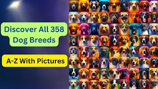 Discover All 358 Dog Breeds: AZ With Pictures