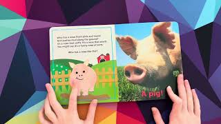 Baby Einstein A Nose Like This Book