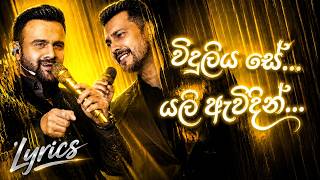 Api Aye Hamunowena | අපි ආයේ හමු නොවෙනා | Sanka Dineth x Aditya Narayan | Aryan Creations LK