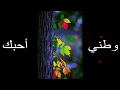 وطني احبك لا بديل 