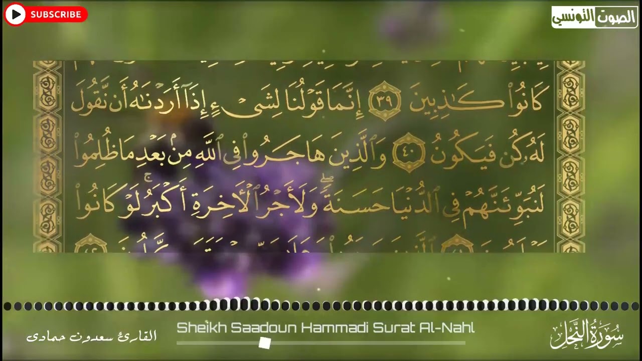 سعدون حمادي الختمة المرئية (سورة النحل) كاملة