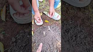 marisa nemu stik Ice krem terdampar #trendingshorts