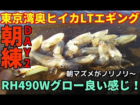 ヒイカltエギング朝練day2 朝マズメにチャンス到来 Youtube ヒイカltエギング朝練day2 朝マズメにチャンス到来 Youtube