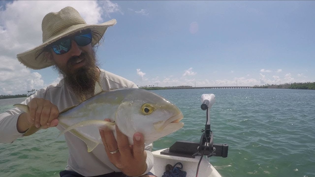 Florida Keys Fun with yellow jacks YouTube