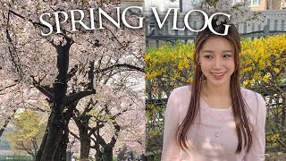 4월의 끝자락에 올리는 spring vlog 🌸 (맛집은 기본, 나들이의 모든 것)