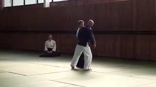 Nebi VURAL AİKİDO Semineri Brno Çekya 2014 - ilker Gürel