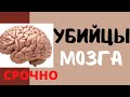 Мы сами гробим свой мозг. 4 привычки, о которых нужно забыть