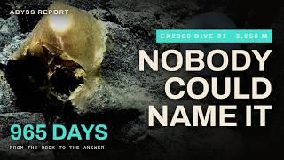 Nobody Could Name the Golden Orb, So They Took It screenshot 5