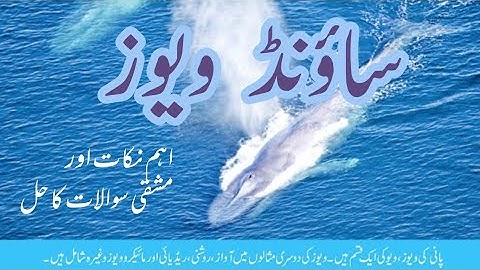 Science 7th Ch-10 Sound Waves Key Points & Solved Exercise