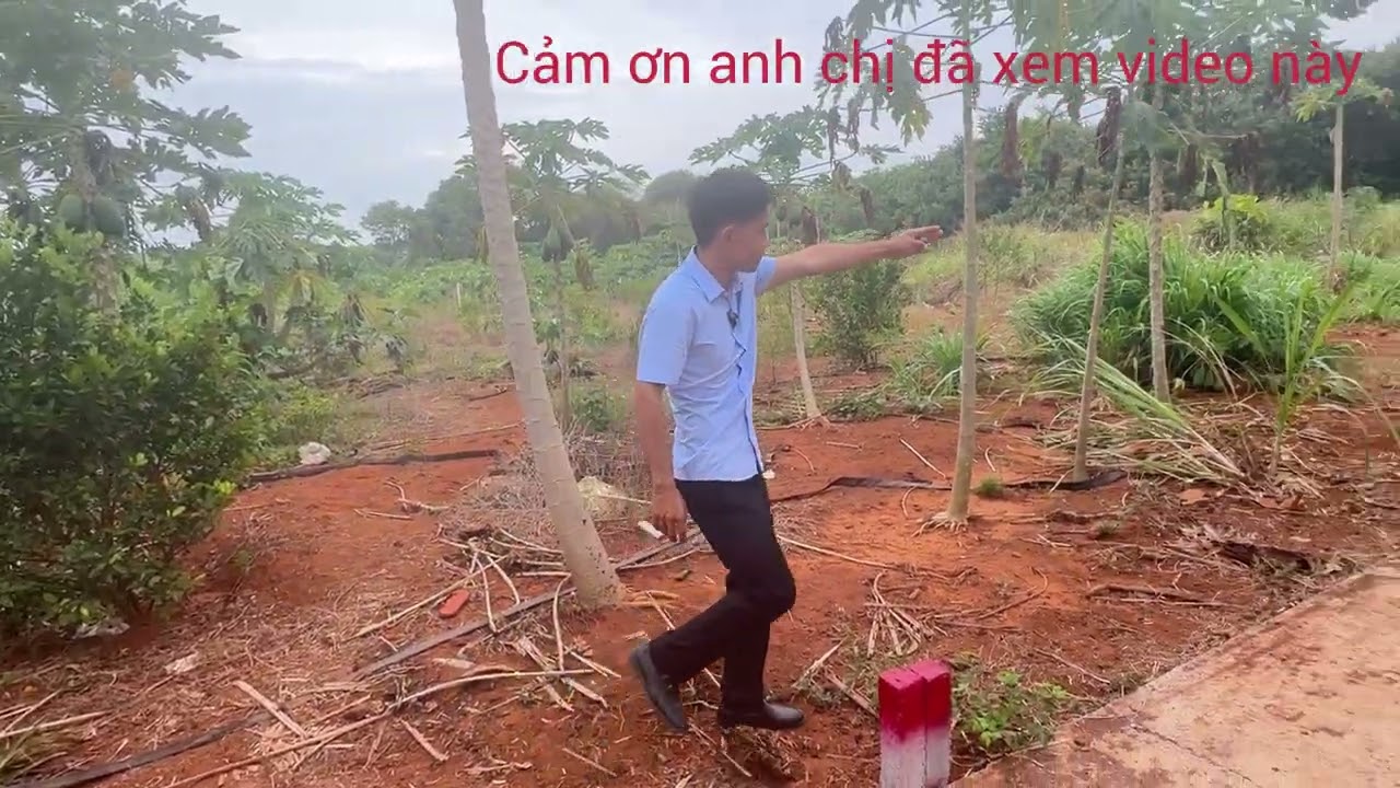 CHỊ NGA BÁN GẤP LÔ ĐẤT LONG TÂN 1000m2 CÓ SẲN VƯỜN CÂY ĂN TRÁI GIÁ 1ty2 