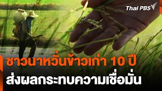 ชาวนาหวั่นข้าวเก่า 10 ปี ส่งผลกระทบความเชื่อมั่น | ข่าวค่ำมิติใหม่ | 9 พ.ค. 67