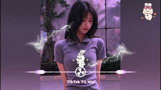 文夫 - 骗子 (DJ铭仔版) Tên Lừa Đảo (Remix Tiktok 2022) - Văn Phu || Hot Tiktok Douyin 抖音