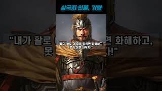 삼국지 인물, 기령