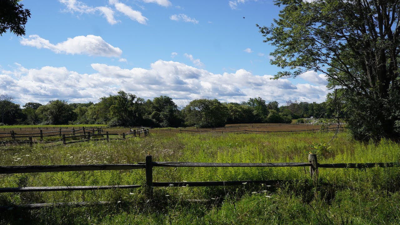Morning Walk at Knox Farm | New York State Park