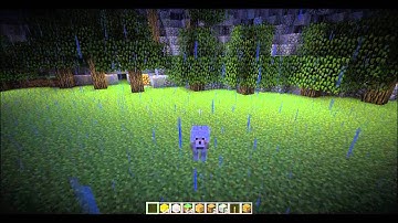 Mr43Minecraft - Your the Wolf - Paradise Crater - 1.1.0