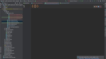 Rendering simple dynamic data in Angular 1004