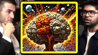 Intelligence explosion needs recursive self-improvement | Aravind Srinivas and Lex Fridman