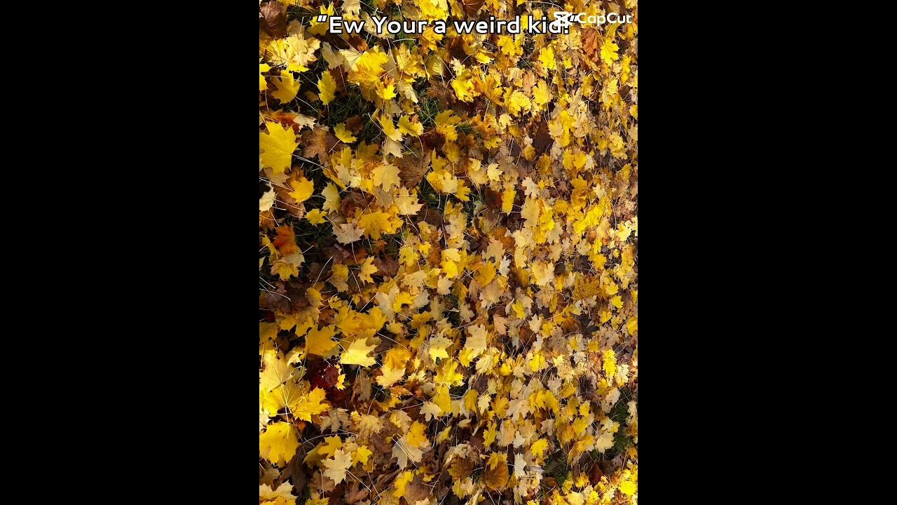 Insert title idk what to put 