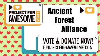 Ancient Forest Alliance - Project for Awesome 2021