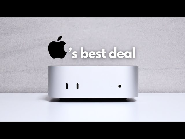 Apple Mac mini M4 16GB 256GB 2025年8月購入 Apple Mac mini Chip M4