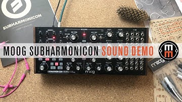Moog Subharmonicon - только звук, ничего лишнего!