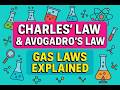 Charles’ Law & Avogadro’s Law Explained | Gas Laws Made Easy (Class 10 Chemistry)