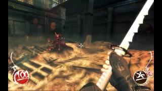 Shadow Warrior   74   INSANE difficulty