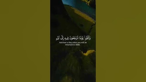 🎙تلاوة رائعة... ﴿ واتقوا يوما ترجعون فيه إلى الله ﴾ #ريان_المحيسني
