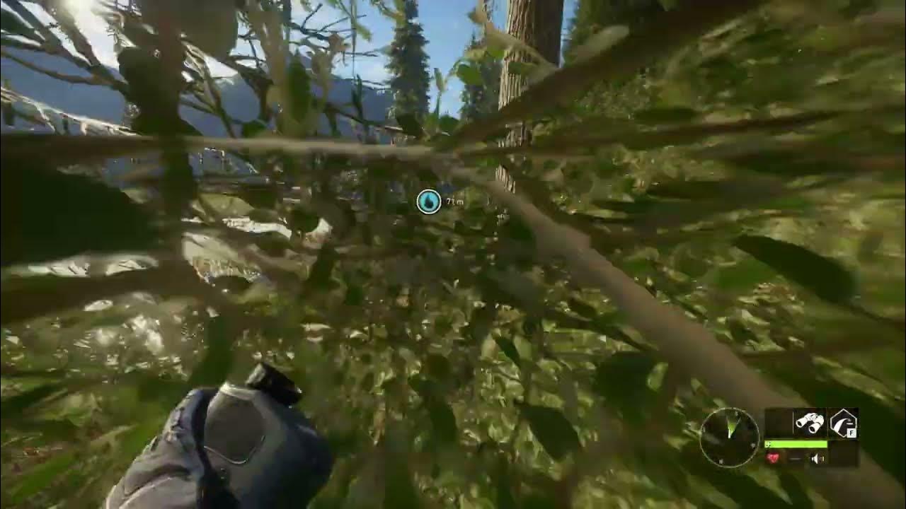 Zarza10 .308 new sound theHunter Call of the Wild YouTube