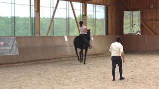 Dressurtraining Mit Nuno Avelar