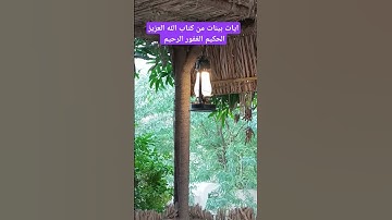 آيات بينات من كتاب الله العزيز الحكيم الغفور الرحيم #قرآن #محمد_ديبيروف #كن_مع_الله_ولا_تبالي