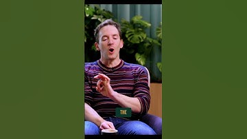 🧠 Custom fonts vs. system fonts—what’s the real cost?