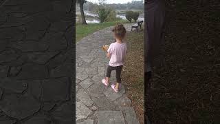 UN PASEO POR EL PARQUE VERDE DE ANCILLO